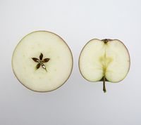 Nisaba æble